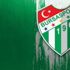Bursaspor'da yaprak dökümü Bursaspor'da yaprak dökümü