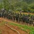FARC militanlarına banka kartı veriliyor