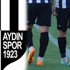 Aydınspor 1923'te 'keskin' kriz