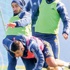 Kanarya seri peşinde Kanarya seri peşinde