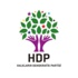 HDP'den erken seçim açıklaması