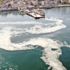 Marmara Denizi'nde müsilaj incelemesi: Bu seneki manzarayı arayacağız