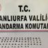 Jandarma ekipleri tarafından Roma dönemine ait 70 sikke ele geçirildi