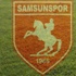 Samsunspor galibiyet istiyor Samsunspor galibiyet istiyor