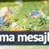 7 Eylül en anlamlı Cuma mesajları: Hayırlı Cumalar! 7 Eylül en anlamlı Cuma mesajları: Hayırlı Cumalar!
