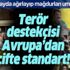 Terör örgütü PKK'ya kucak açan Avrupa, Diyarbakır Annelerini görmezden geliyor