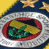 Fenerbahçe'den Van Persie ve Pereira açıklaması