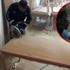 Polis ekipleri, masalara zulalanan uyuşturucuları tek tek çıkardı