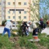 Akçakoca Yeşillendiriliyor Akçakoca Yeşillendiriliyor