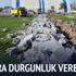 Van'da akıllara durgunluk veren olay