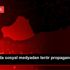 Şanlıurfa da sosyal medyadan terör propagandasına ... Şanlıurfa da sosyal medyadan terör propagandasına ...