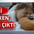 Türkiye bunu da gördü Türkiye bunu da gördü