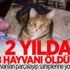 2 yılda 358 hayvanı öldürdü! 2 yılda 358 hayvanı öldürdü!