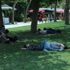 İstanbul'da termometreler 37 dereceyi gösterdi