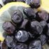 Gemlik’te zeytin üreticisine destek Gemlik’te zeytin üreticisine destek
