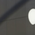 Apple, Çin'de güneş santrali kuracak