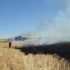 Uşak'taki yangında yaklaşık 30 dönümlük ekili alan zarar gördü