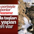 Mehmetçik terörist avında
