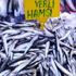 İthal somon yerine yerli hamsi çağrısı