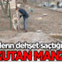 Öğrencinin öldüğü ilçede bir evden 20 köpek çıktı! Öğrencinin öldüğü ilçede bir evden 20 köpek çıktı!