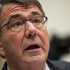 Ashton Carter: Türkiye’nin yaptıklarından memnuniyet duyuyoruz