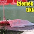 Korkunç gerçek otopside ortaya çıktı