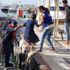Çanakkale'de 70 düzensiz göçmen yakalandı Çanakkale'de 70 düzensiz göçmen yakalandı