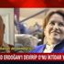 Yunan profesörden flaş sözler: ABD Erdoğan'ı devirip Meral Akşener'i getirecekti
