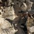 Siirt Eruh'ta PKK'lı teröristlerin 6 sığınağı imha edildi