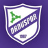 Orduspor'da olağanüstü kongre tarihi belli oldu!