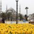 İstanbul'da Lale Zamanı İstanbul'da Lale Zamanı