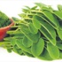 Mucizenin adı Moringa bitkisi