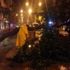 Ağaç cadde ortasına devrildi Ağaç cadde ortasına devrildi