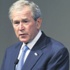 Bush'a göre işkenceci görevliler 'vatansever'