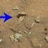 NASA paylaştı: Mars’tan akılları karıştıran bir kare daha! NASA paylaştı: Mars’tan akılları karıştıran bir kare daha!