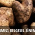 Necati Sönmez ile "belgesel sinema üzerine"