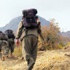 Alman Sol Parti'nin "PKK'nın terör listesinden çıkarılması" teklifi Alman Sol Parti'nin "PKK'nın terör listesinden çıkarılması" teklifi