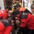 Ormanlık alanda kaybolan yaşlı adamı jandarma buldu Ormanlık alanda kaybolan yaşlı adamı jandarma buldu