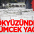 Gökten milyonlarca örümcek yağdı Gökten milyonlarca örümcek yağdı