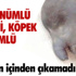 Muğla Valiliği'nden 10 Kasım davetiyesinde büyük gaf Muğla Valiliği'nden 10 Kasım davetiyesinde büyük gaf