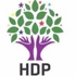HDP'den önemli açıklama HDP'den önemli açıklama