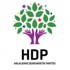 İşte HDP'nin kesinleşmiş aday listesi