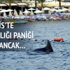 Marmaris'te korkutan görüntü