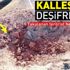 Terör örgütü PKK'nın kalleş Karadeniz planı deşifre oldu