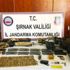 Şırnak'ta terör operasyonu: 13 gözaltı var