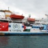Mavi Marmara şehitlerinin çocukları Filistin'e özgürlük istedi Mavi Marmara şehitlerinin çocukları Filistin'e özgürlük istedi