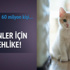 Kedi beslemek şizofreni yapabilir