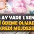 48 ay vade 1 sene geri ödeme olmadan kredi müjdesi! Çok sayıda banka harekete geçti! Faiz oranları normale göre oldukça düşük!