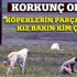 Doktor çiftin kızı Erinç Pütün'ü sokak köpekleri parçaladı Doktor çiftin kızı Erinç Pütün'ü sokak köpekleri parçaladı