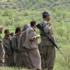 İşte PKK'lı hainlerin il il dağılımı